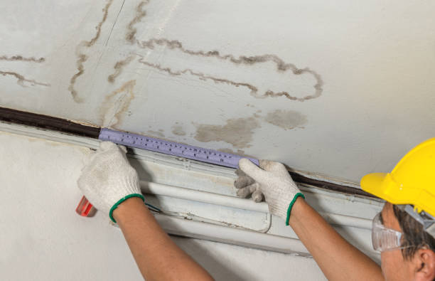 Affordable Ceiling Water Damage Repair solutions in Etna, ME
